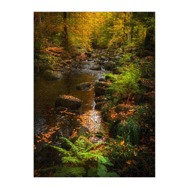 Puzzle Ravensburger "Bunter Harz" artboxONE - Natur,Reise,Floral