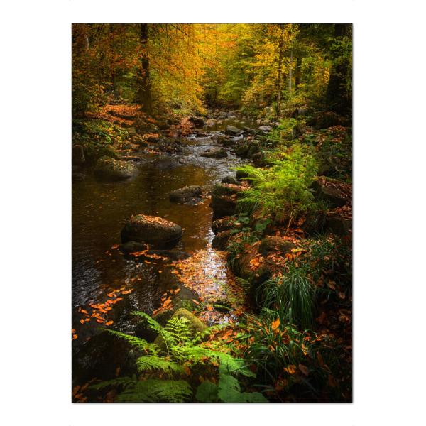 Puzzle Ravensburger "Bunter Harz" artboxONE - Natur,Reise,Floral