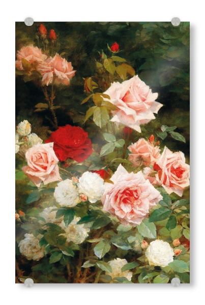 Acrylglasbild "Ein Rosengarten" artboxONE - Natur,Floral,Liebe,Für Mama