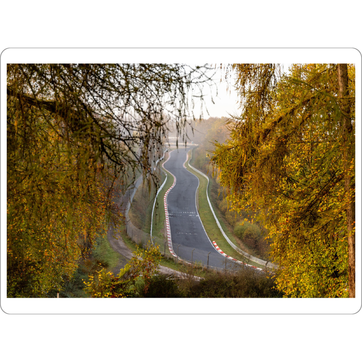 Tischset "Rennstrecke durch den Wald" artboxONE - Sport / Motorsport