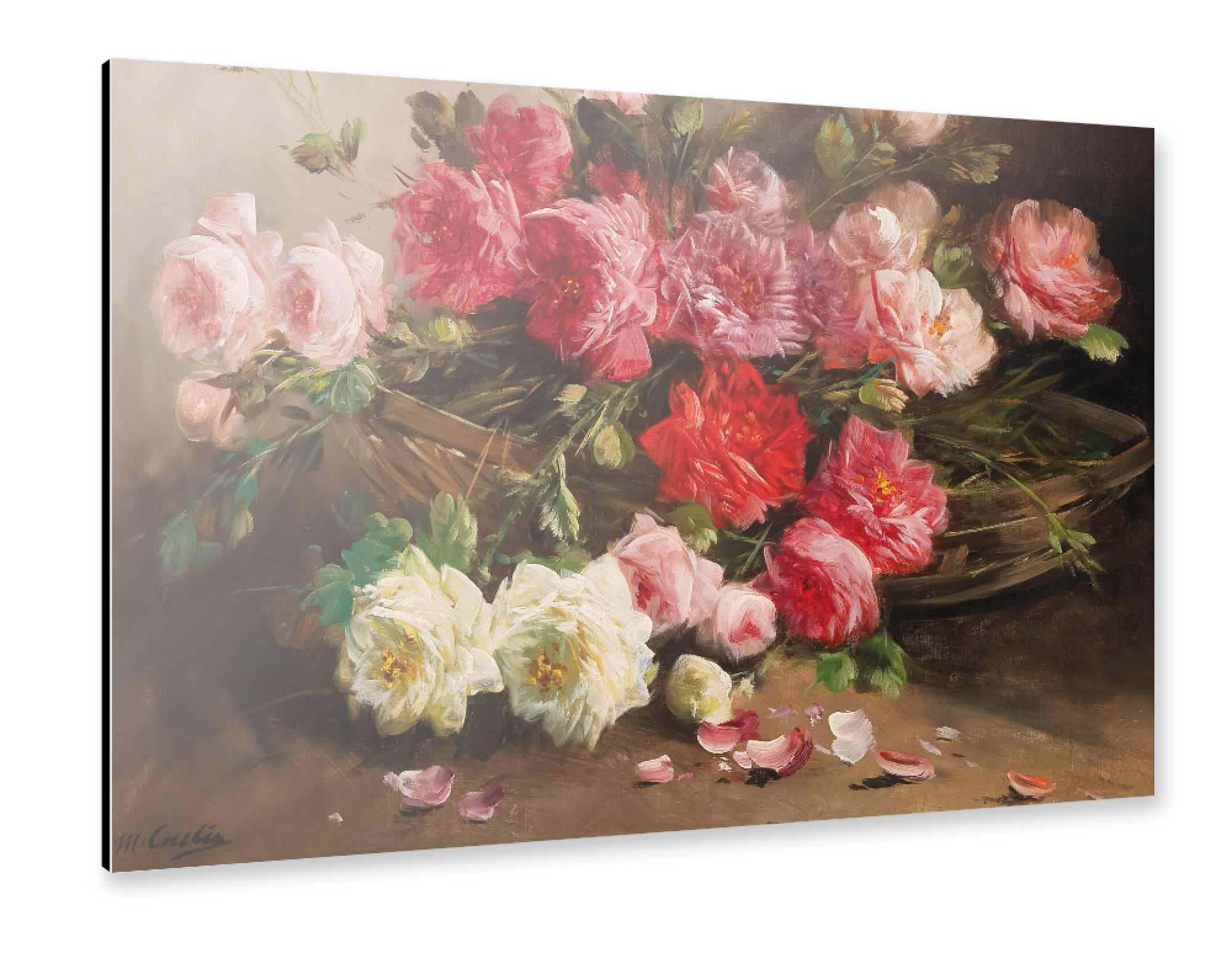 Alu-Dibond "Korb mit Rosen" 75x50 cm artboxONE