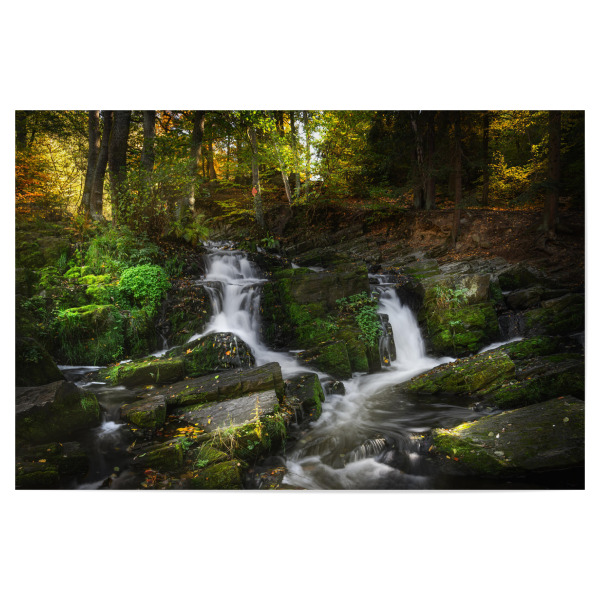 Poster 30x20 cm "Im Selketal" artboxONE - Natur,Reise,Unterwasser