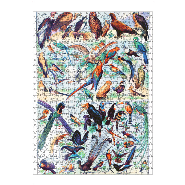 Puzzle Ravensburger "Oiseaux" artboxONE - Natur,Für Kinder,Tiere