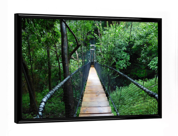 Poster mit schwarzem Rahmen "Hängebrücke im Dschungel" artboxONE - Natur,Reise,Reise / Länder