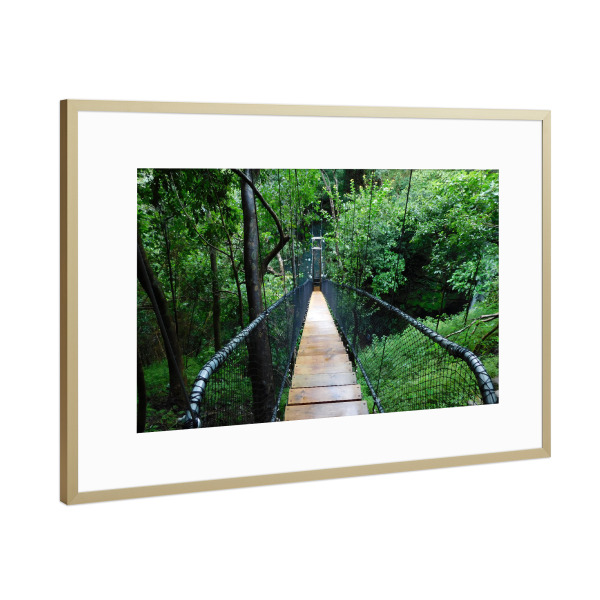 Poster mit Rahmen Gold "Hängebrücke im Dschungel" artboxONE - Natur,Reise,Reise / Länder