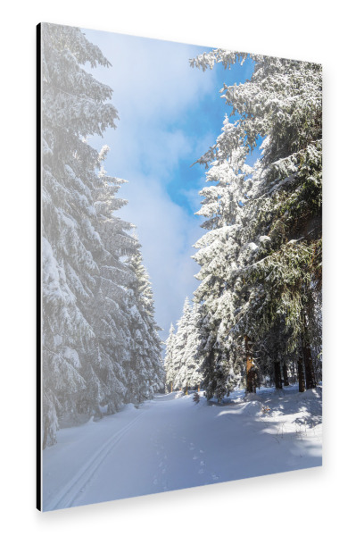 Alu-Dibond "Himmel, Wald, Schnee, Weg" 30x20 cm artboxONE