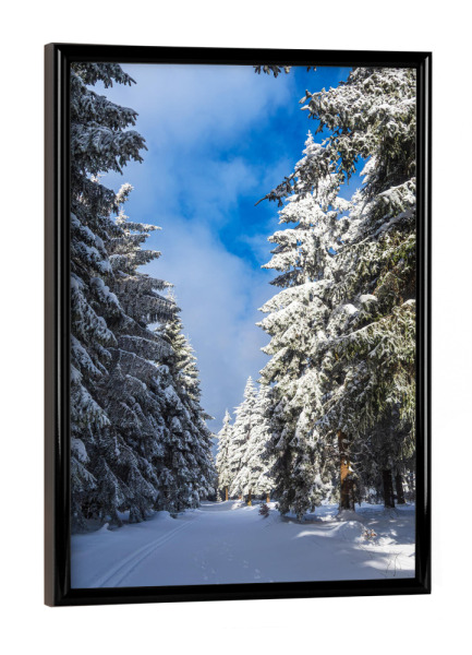 Poster mit schwarzem Rahmen "Himmel, Wald, Schnee, Weg" artboxONE - Natur,Reise,Weihnachten