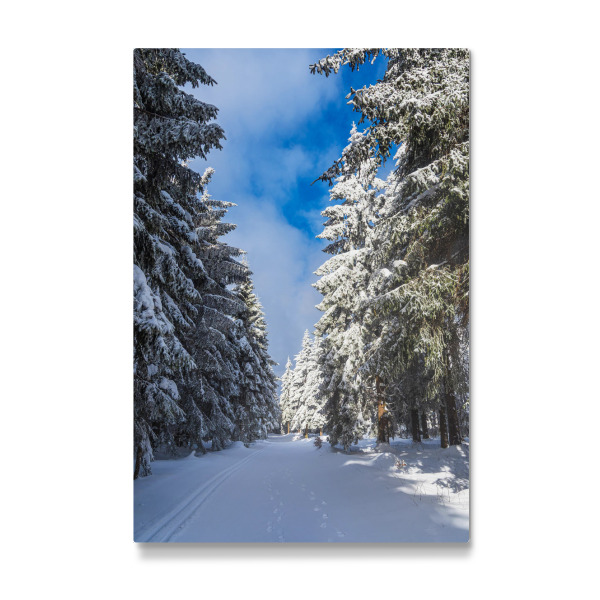 Galerie-Print "Himmel, Wald, Schnee, Weg" 30x20 cm artboxONE