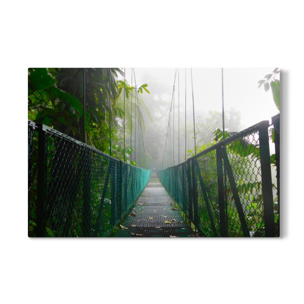 Galerie-Print "Eine Hängebrücke im Dschungel" 30x20 cm artboxONE