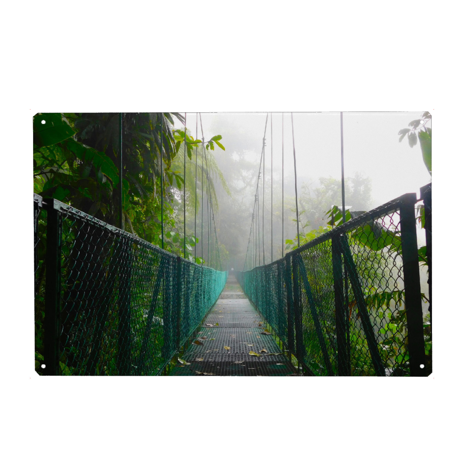 Metall Poster "Eine Hängebrücke im Dschungel" artboxONE - Natur,Reise,Reise / Länder