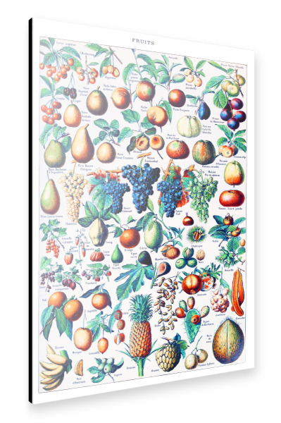 Alu-Dibond "Früchte Art" 30x20 cm artboxONE