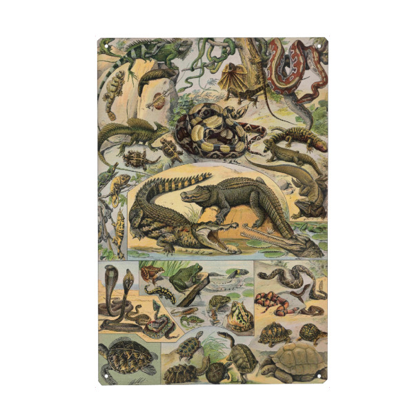 Holzbild "Reptil" artboxONE - Natur,Für Kinder,Tiere