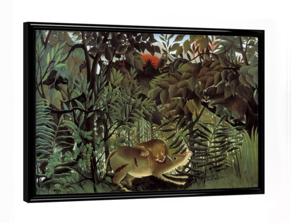 Poster mit schwarzem Rahmen "Der hungrige Löwe" artboxONE - Natur,Reise,Floral,Tiere