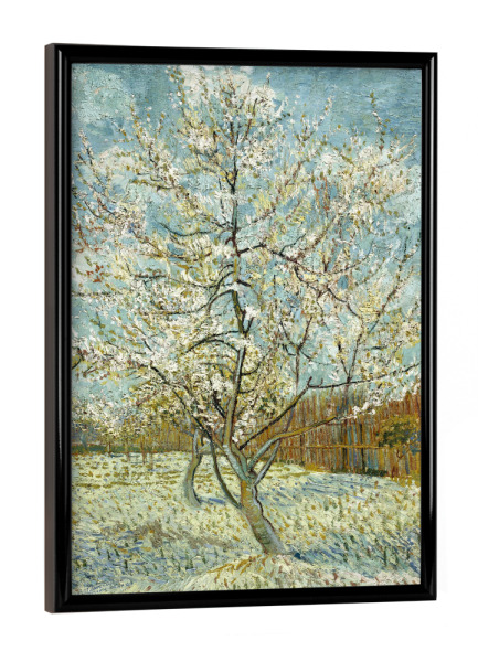 Poster mit schwarzem Rahmen "Der rosa Pfirsichbaum" artboxONE - Natur,Reise,Floral