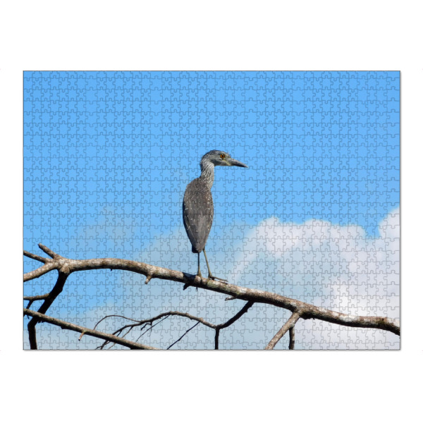 Puzzle Ravensburger "Schmuckreiher" artboxONE - Tiere - Schmuckreiher,Reiher,Vogel,Vögel,Wildlife,Wildlifephotography,Wildlifeartprint