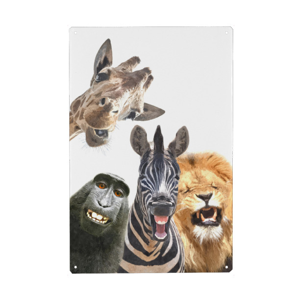 Metall Poster "Glückliche Dschungeltiere" artboxONE - Für Kinder,Tiere,Lustig - Dschungel,Tiere,Humor,Löwe,Giraffe,Affe,Zebra,Spaß,Porträt,Zoo,Lustig