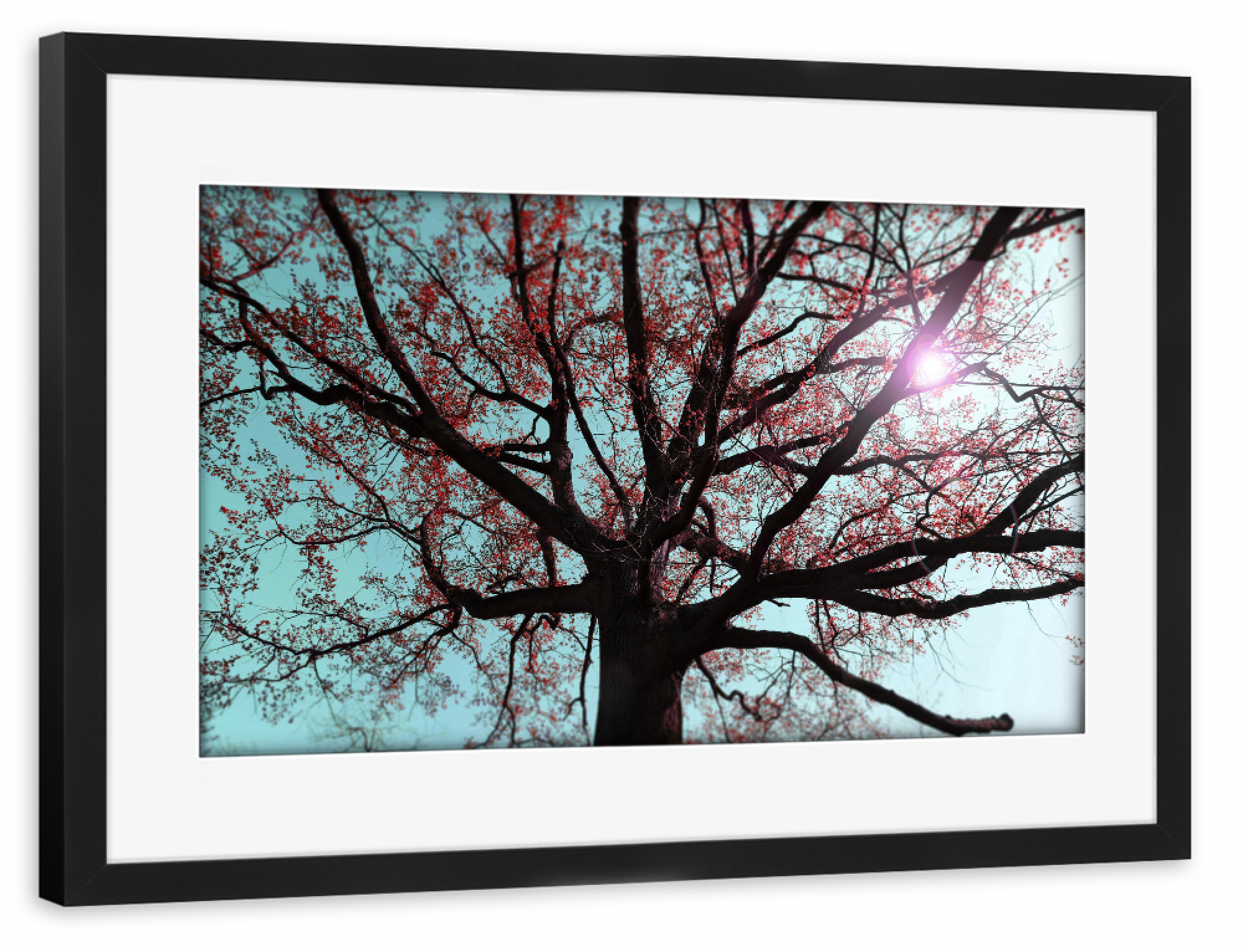 Poster mit Rahmen schwarz "Verzweigter Baum, Surrealismus" artboxONE - Natur,Floral,Abstrakt,Schwarzweiß