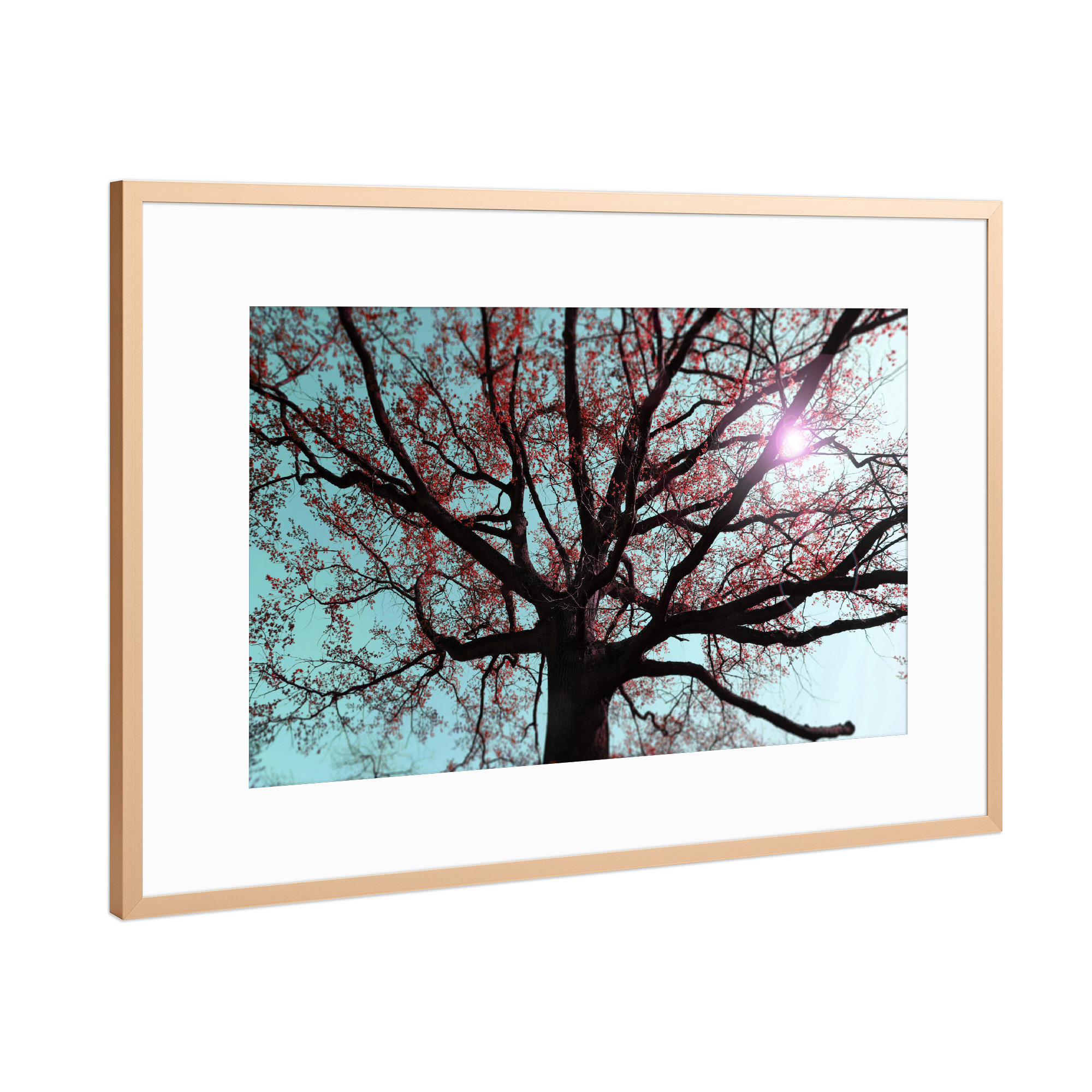 Poster mit Rahmen Kupfer "Verzweigter Baum, Surrealismus" artboxONE - Natur,Floral,Abstrakt,Schwarzweiß