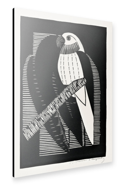 Alu-Dibond "Samuel de Mesquita - Parakeets" 30x20 cm artboxONE