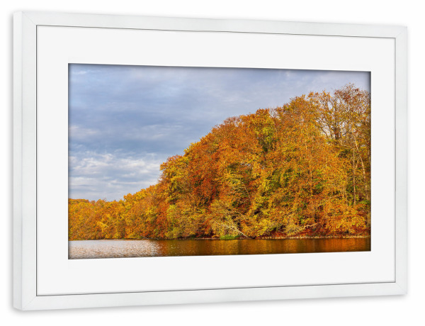 Poster mit Rahmen weiß "Herbstliche Bäume am See" artboxONE - Natur,Reise