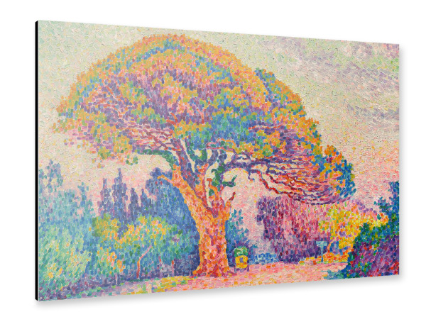 Alu-Dibond "Die Kiefer in Saint Tropez" 30x20 cm artboxONE