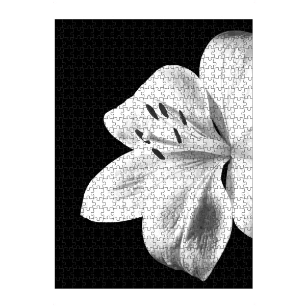 artboxONE Puzzle "Schwarze und weiße Lilie" artboxONE - Natur,Floral