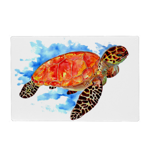 Metall Poster "Rote Meeresschildkröte" artboxONE - Für Kinder,Tiere,Unterwasser