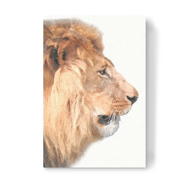 Leinwandbild "Löwenprofil" artboxONE - Tiere - Löwe,Tier,Tiere,Dschungel,Zoo,Porträt,Profil,Savanne,Wildes,Afrikanisches tier