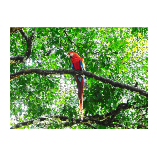 Puzzle Ravensburger "Ein roter Ara" artboxONE - Natur,Tiere