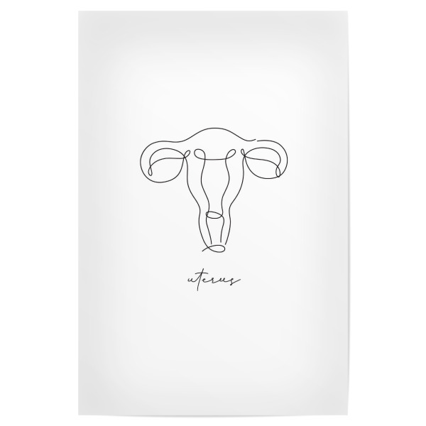 Poster "Uterus-Stiftlinie" artboxONE - Menschen - Gebärmutter,Linie,Stift,Anatomie,Symbol,Körper,Gesundheit,Medizin,Medizinische,Interne,Orgel