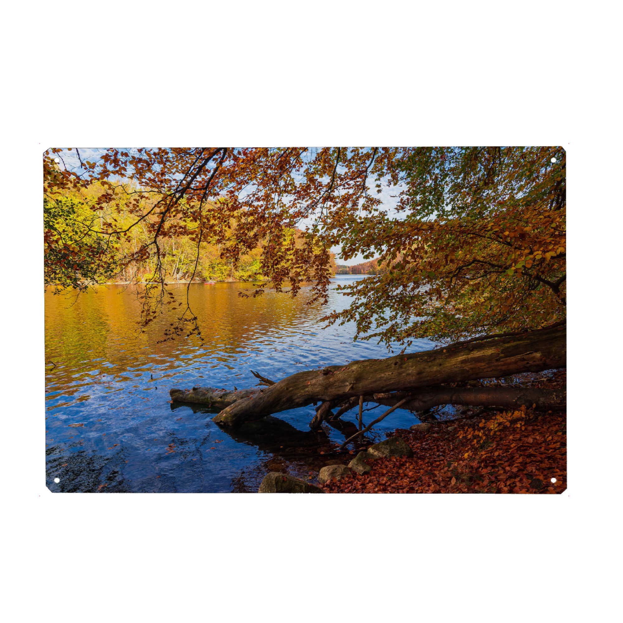 Metall Poster "See, Baumstamm, Wald" artboxONE - Natur,Reise