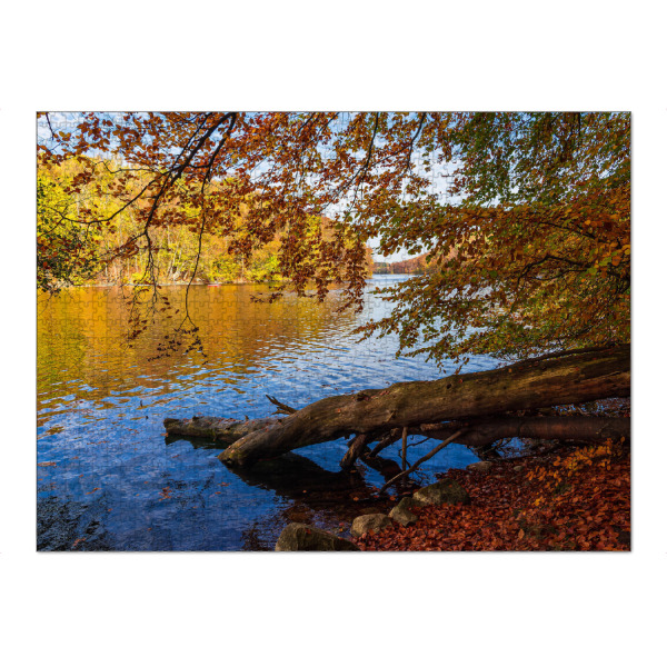 Puzzle Ravensburger "See, Baumstamm, Wald" artboxONE - Natur,Reise