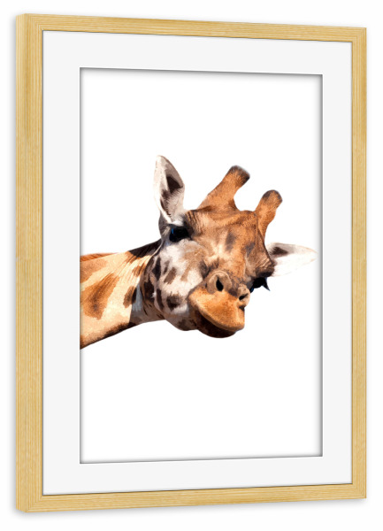 Poster mit Rahmen kiefer "Giraffen-Peekaboo" artboxONE - Tiere - Giraffe,Tier,Tiere,Dschungel,Zoo,Savanne,Afrikanisches tier,Porträt,Guck