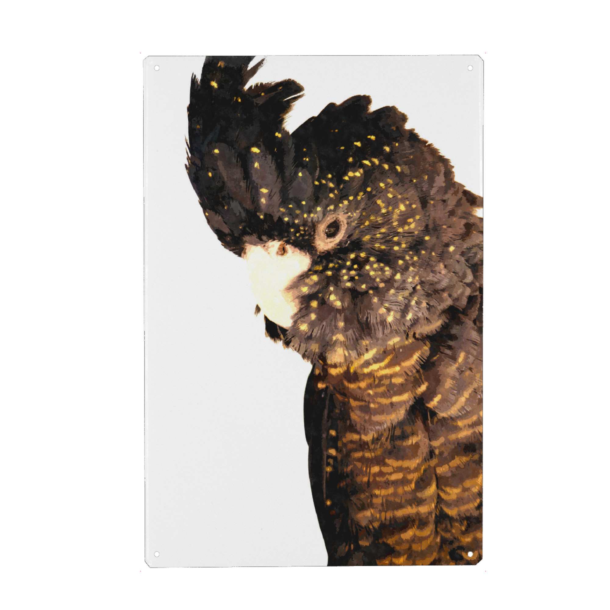 Holzbild "Kakadu Nahaufnahme" artboxONE - Tiere - Kakadu,Vogel,Ara,Papagei,Tier,Tierporträt,Tropisch,Kakaduporträt,Guck