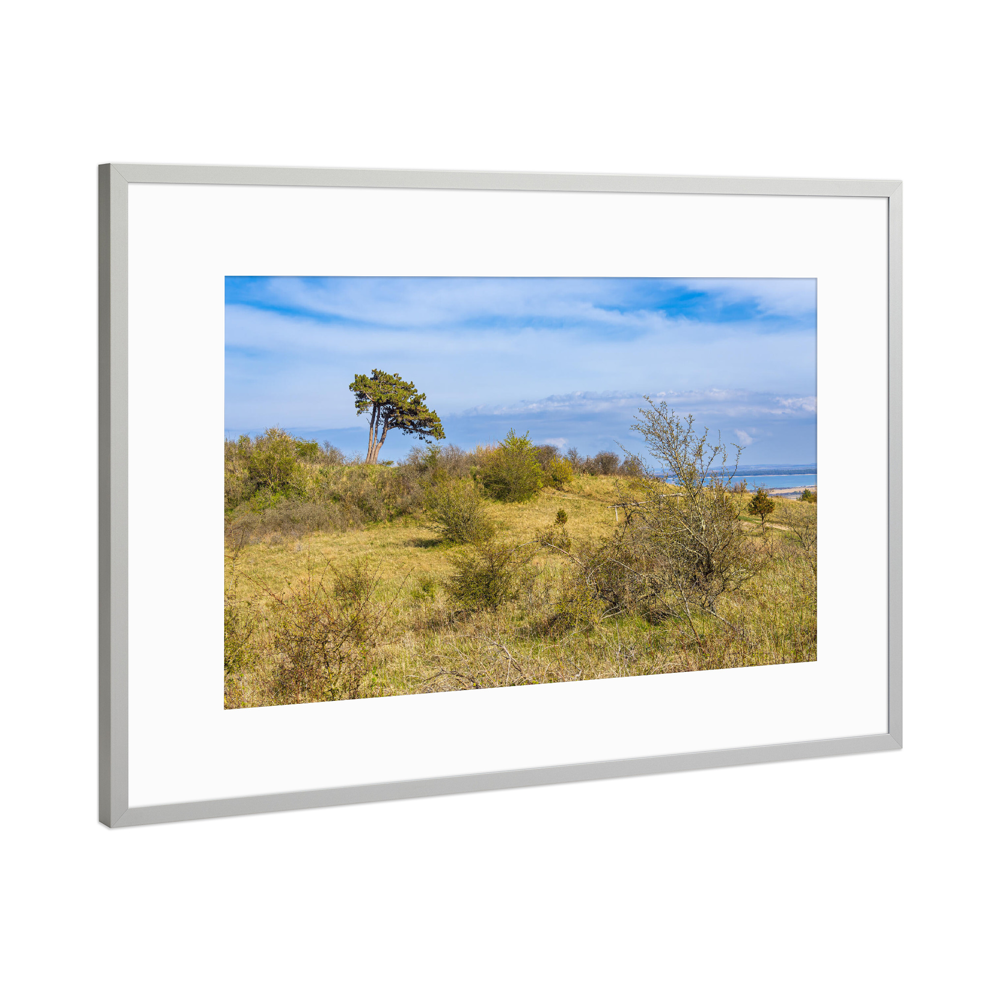 Poster mit Rahmen Silber "Sträucher, Windflüchter, Wolken" artboxONE - Natur,Reise