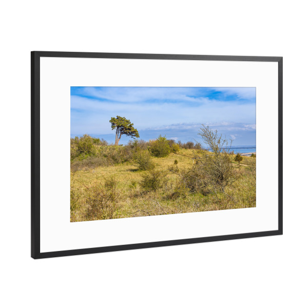 Poster mit Rahmen Schwarz (Metallic) "Sträucher, Windflüchter, Wolken" artboxONE - Natur,Reise