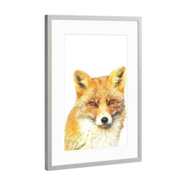 Poster mit Rahmen Silber "Fuchs-Peekaboo" artboxONE - Tiere - Fuchs,Tier,Tiere,Rotfuchs,Porträt,Gucken,Waldtier,Waldtiere