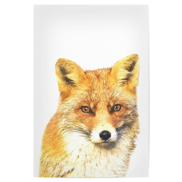 Poster "Fuchs-Peekaboo" artboxONE - Tiere - Fuchs,Tier,Tiere,Rotfuchs,Porträt,Gucken,Waldtier,Waldtiere