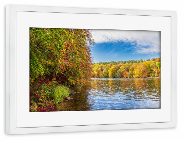 Poster mit Rahmen weiß "Schmaler Luzin im Herbst" artboxONE - Natur,Reise