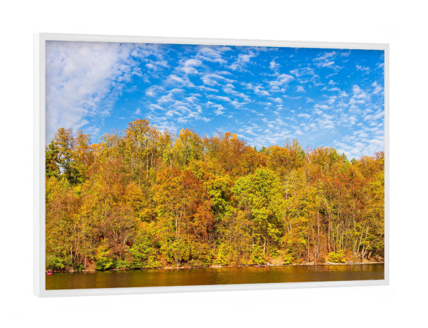 Poster mit weißem Rahmen "See und Wald im Herbst" artboxONE - Natur,Reise