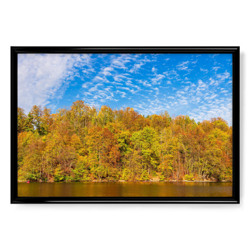 See und Wald im Herbst