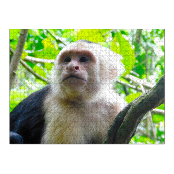 Puzzle Ravensburger "Ein Kapzinerafffe" artboxONE - Natur,Tiere