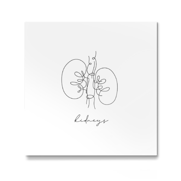 Galerie-Print "Nieren-Stift-Linie" 30x30 cm artboxONE