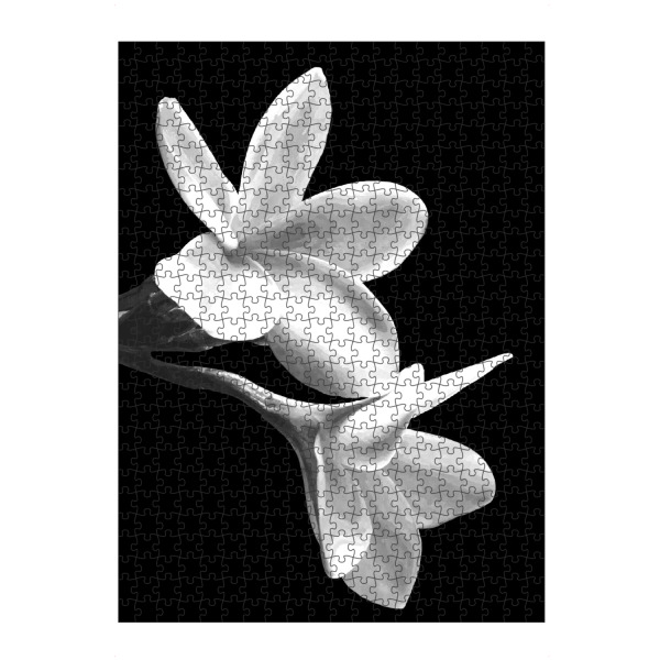 Puzzle Ravensburger "Schwarze und weiße Blumen" artboxONE - Natur,Floral - Blumen,Botanisch,Blumen,Schwarz und weiß,Minimal,Elegant,Weiße blume,Natur