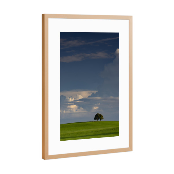 Poster mit Rahmen Kupfer "Alleinstehender Baum" artboxONE - Natur,Tiere - Baum,Himmel,Wolken,Weite,Steingaden,Natur,Landschaft