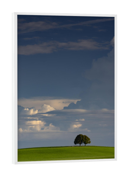 Poster mit weißem Rahmen "Alleinstehender Baum" artboxONE - Natur,Tiere - Baum,Himmel,Wolken,Weite,Steingaden,Natur,Landschaft