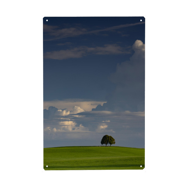 Holzbild "Alleinstehender Baum" artboxONE - Natur,Tiere - Baum,Himmel,Wolken,Weite,Steingaden,Natur,Landschaft