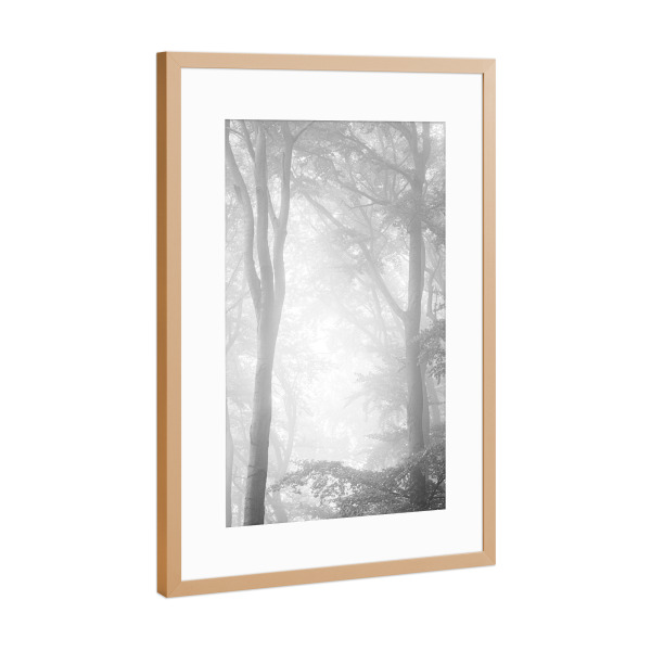 Poster mit Rahmen Kupfer "Waldnebel" artboxONE - Natur,Floral,Schwarzweiß