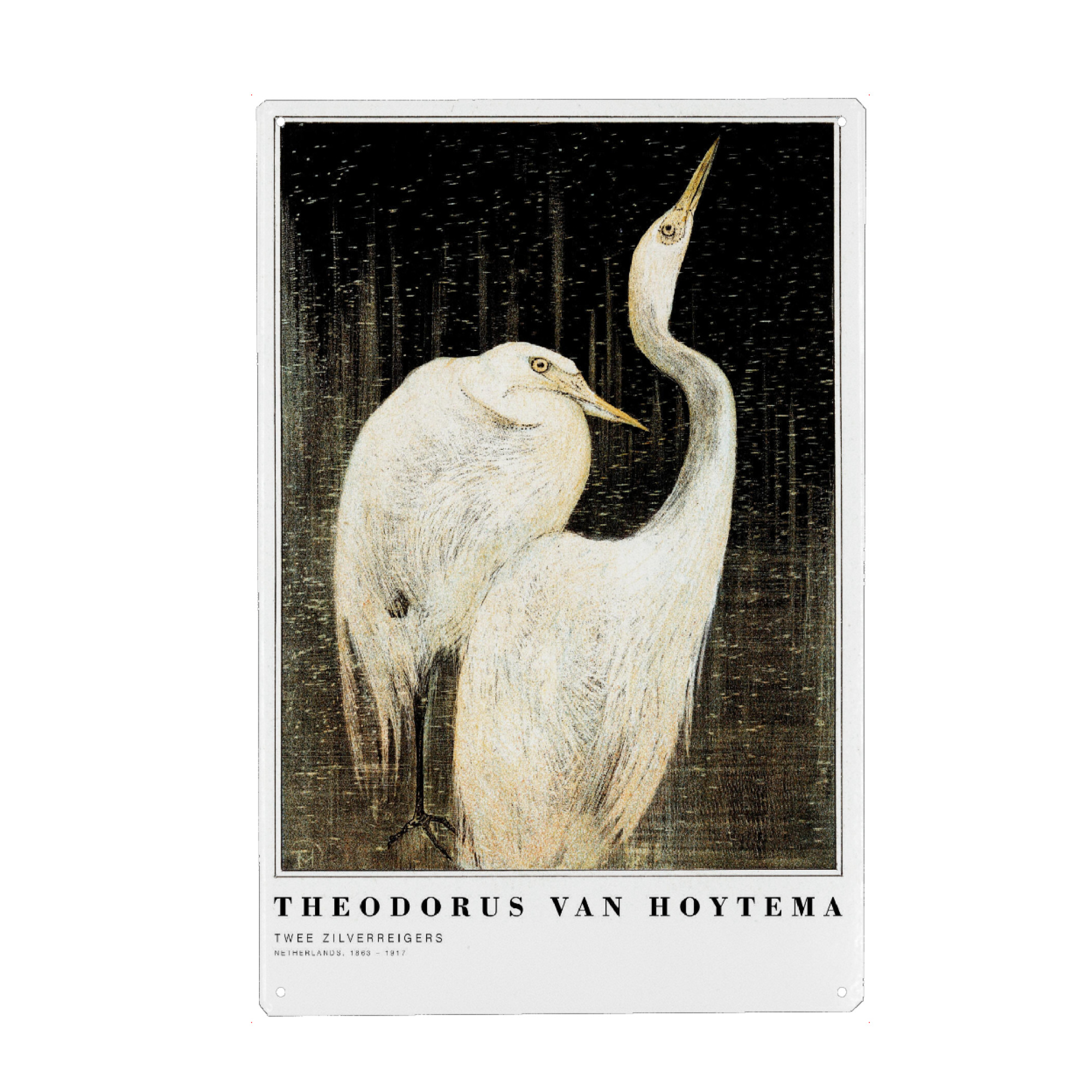 Holzbild "Hoytema - Zwei Silberreiher" artboxONE - Typografie,Tiere - Vogel,Tier,Reiher,Natur,Typografie,Kunstdruck,Kunstwerk,Kunst,Malerei,Gemälde