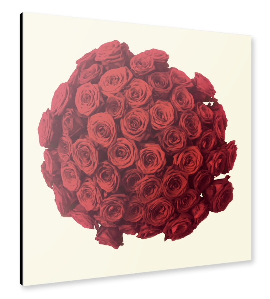 Alu-Dibond "Ein wunderschöner Rosenstrauß" 30x30 cm artboxONE